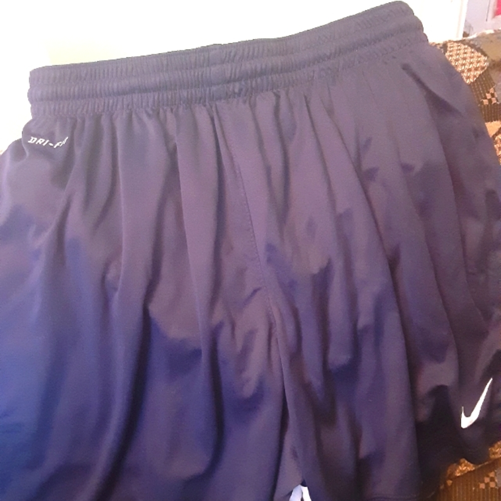 Nike Dri-Fit Shorts size Large